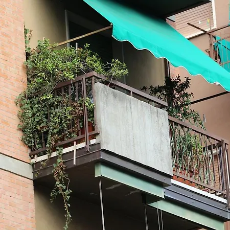 Il Lori Di Alessandra Verona